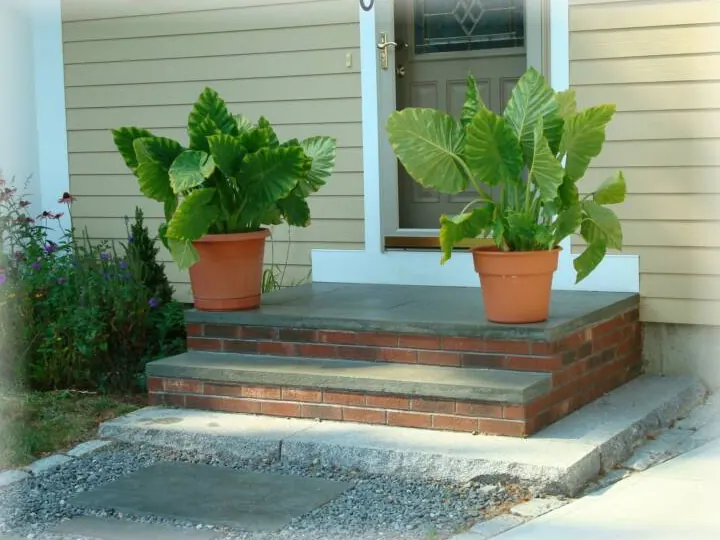 Brick entry steps with bluestone treads and potted plants